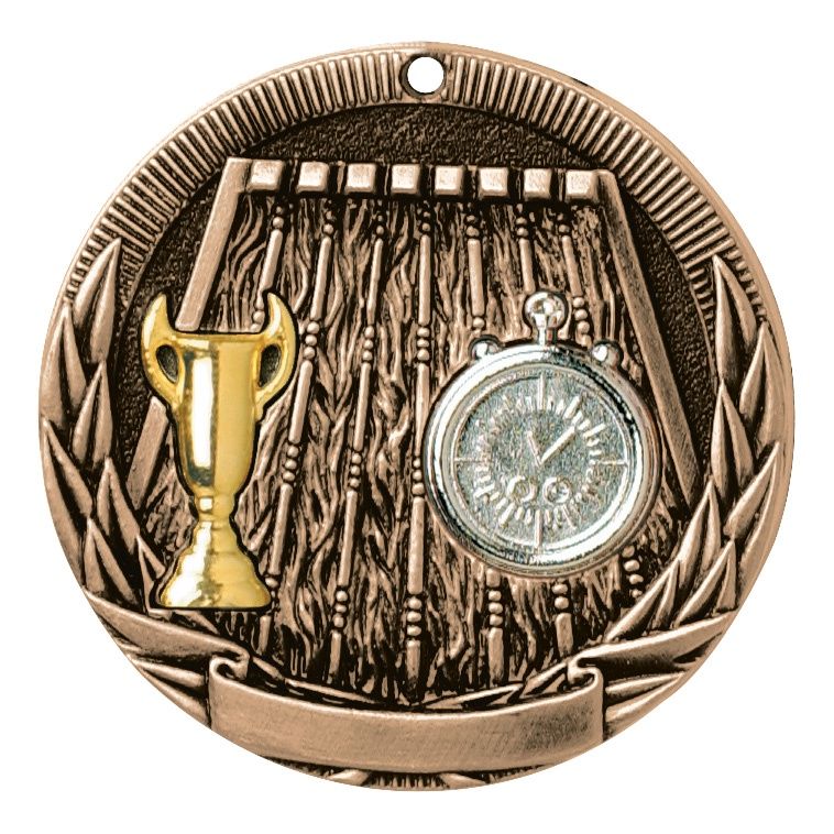 Tri-Colored Medal, Swimming, Bronze