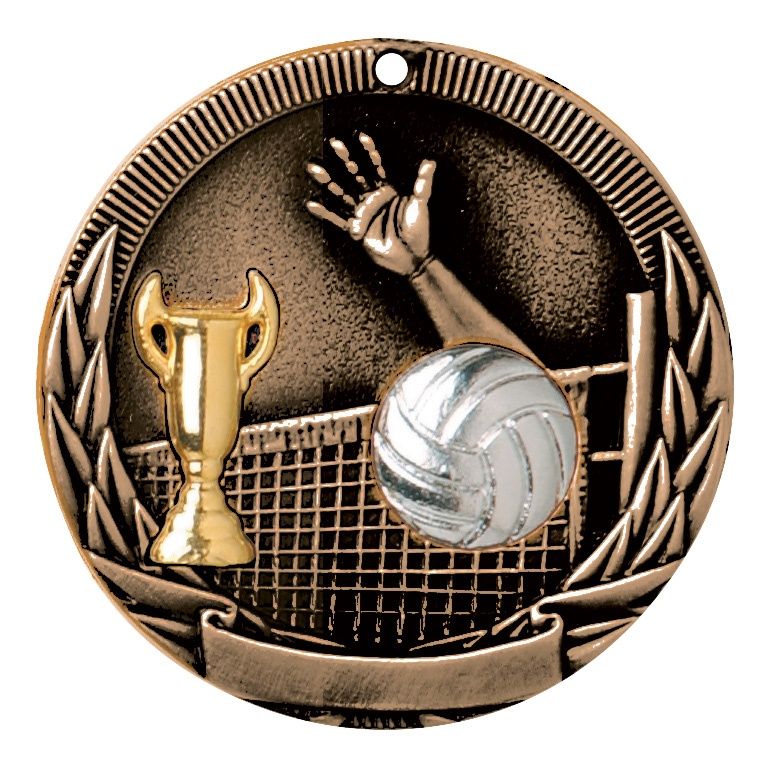 Tri-Colored Medal, Volleyball, Bronze