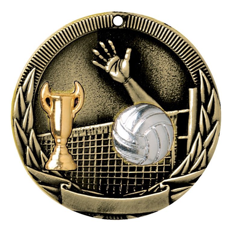 Tri-Colored Medal, Volleyball, Gold