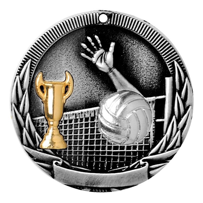 Tri-Colored Medal, Volleyball, Silver