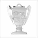 **SWIMMING CUP MEDAL BRI