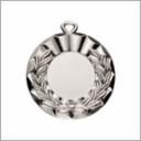 1" SILVER BRIGHT INSERT