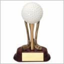 GOLF BALL ON CLUBS MEDIU