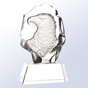 Eagle Portrait with Clear base 8"x4-1/2"x2