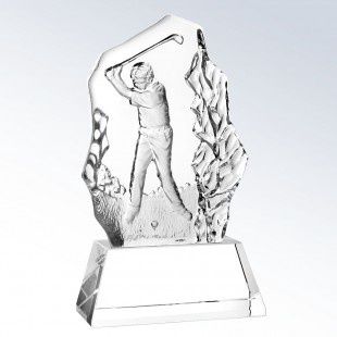 Male Golfer Swing Award