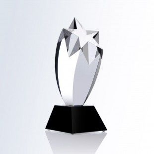 Rising Star Award (Black Crystal Slant Base)