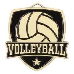 Shield Medal, Volleyball, Gold