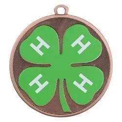 Velocity Medal, 4-H, Bronze
