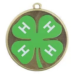 Velocity Medal, 4-H, Gold