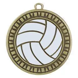 Velocity Medal, Volleyball, Gold