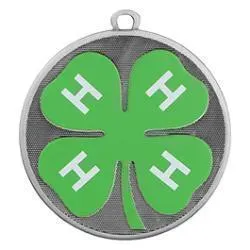 Velocity Medal, 4-H, Silver