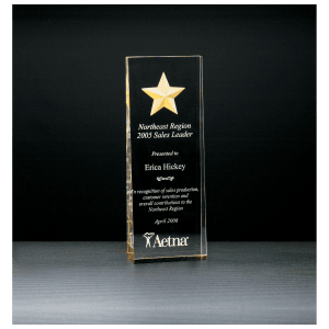 Constellation Series Etched Star with Gold Paint-Filled and Mirrored Bottom