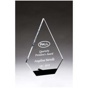 Diamond Series Clear Acrylic with Black Accent and Silver Post
