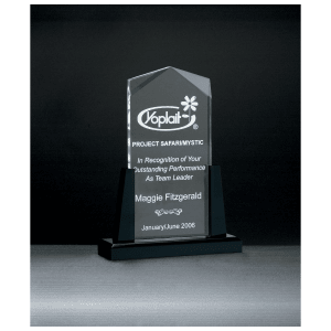 Spire Series Clear Acrylic Upright on Black Acrylic Base