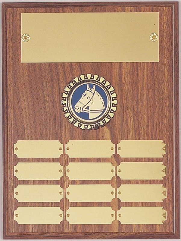 **ASSEMBLED 9X12" 12 GOL
