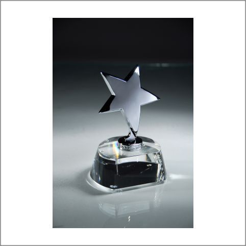 STAR ON CRYSTAL HORSESHO