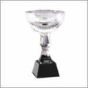 LOVING CUP LARGE NO HAND