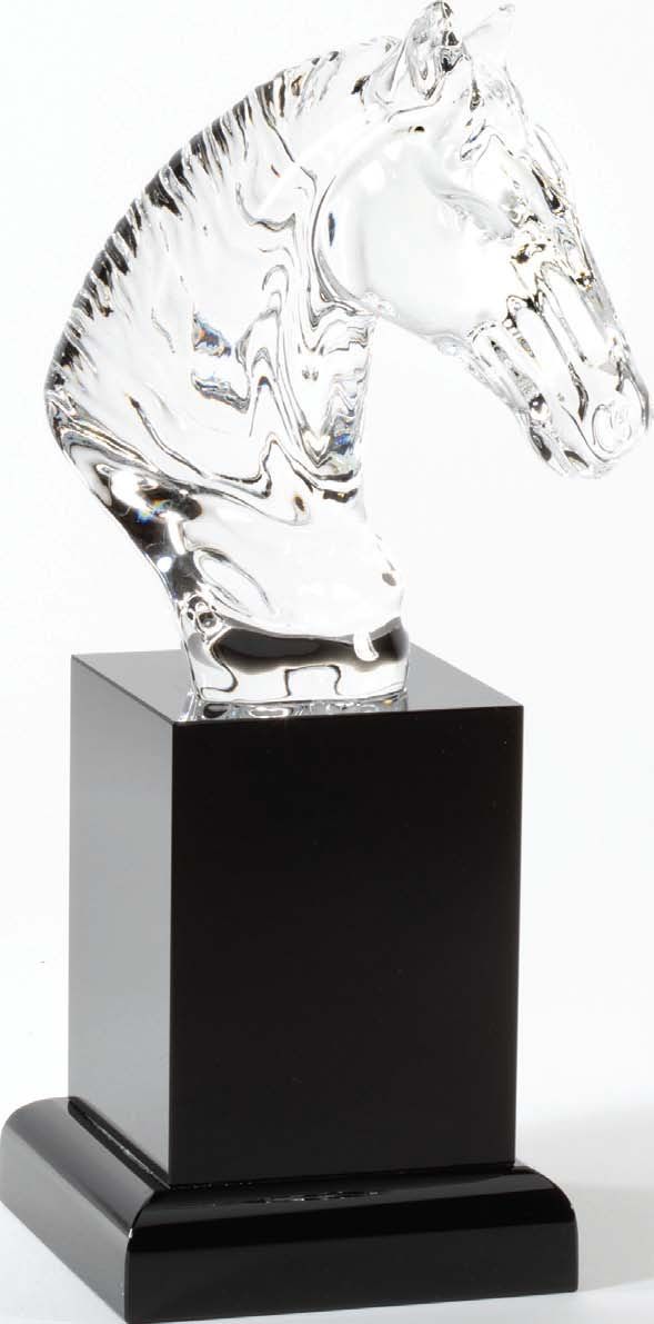 HORSE HEAD