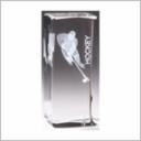 HOCKEY CRYSTAL W/3D LAS