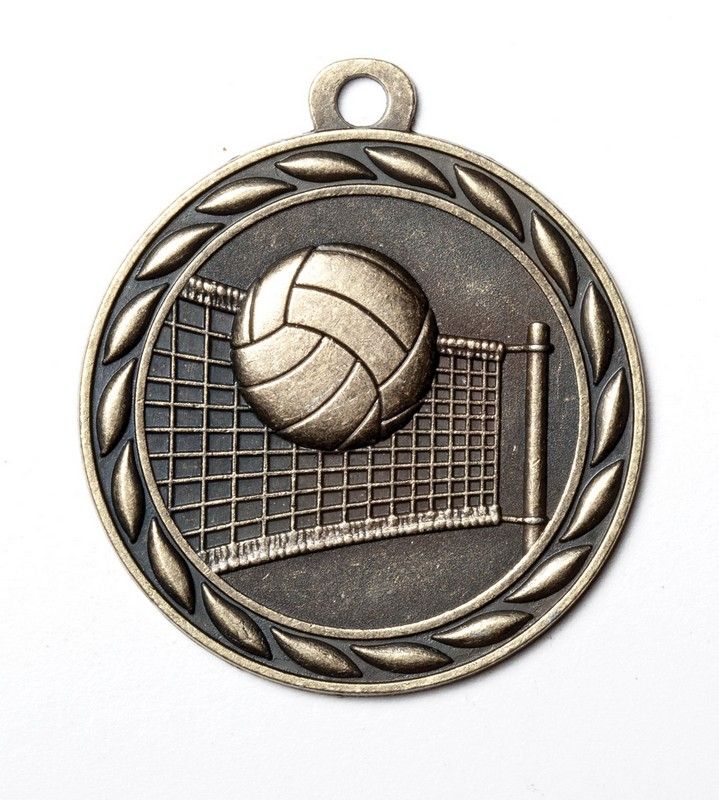VOLLEYBALL AG