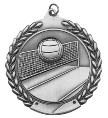 VOLLEYBALL MEDAL SILVER SV