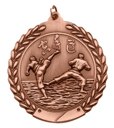 KARATE MEDAL BRONZE 2-3/
