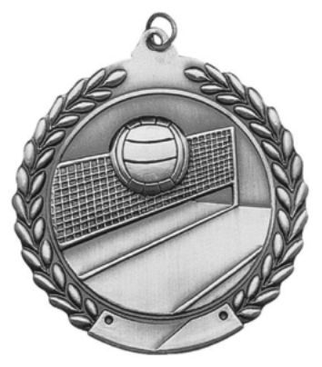 SILVER VOLLEYBALL MEDAL