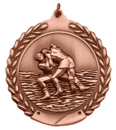 BRONZE 2 WRESTLING MEDAL