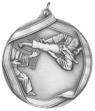 KARATE MEDAL SILVER 2-1/