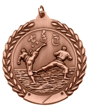 KARATE MEDAL BRONZE 1-3/