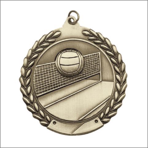 VOLLEYBALL MEDAL GOLD 1-