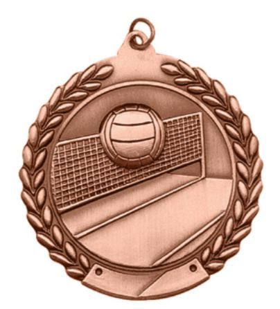 BRONZE VOLLEYBALL MEDAL