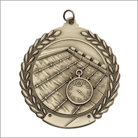SWIMMING MEDAL GOLD 1-3/