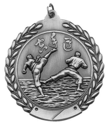 KARATE MEDAL SILVER 2-3/