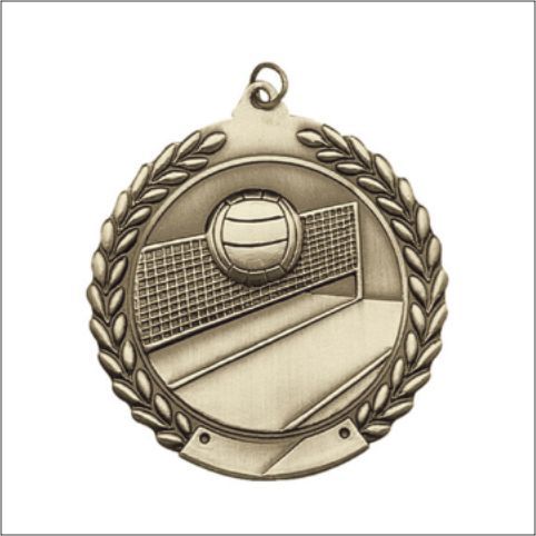 GOLD 2-VOLLEYBALL MEDAL