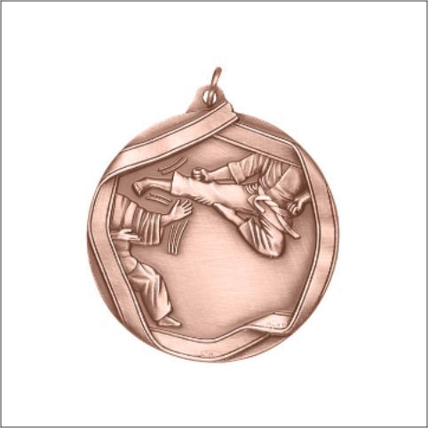 KARATE MEDAL BRONZE 2-1/