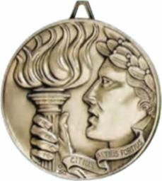 GLD DC VICTORY MEDAL M