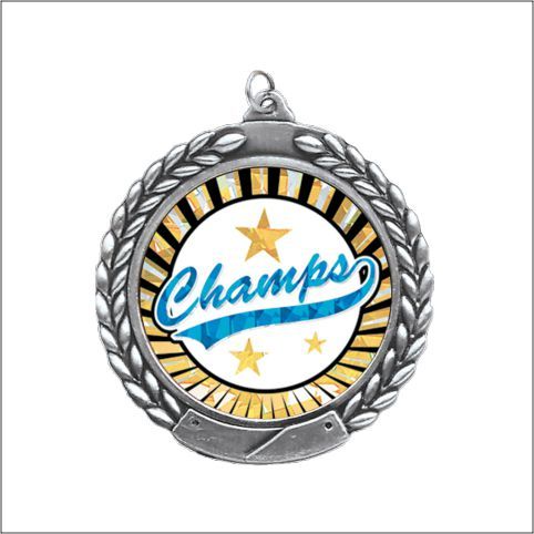 INSERT MEDAL 2" ANT. SIL