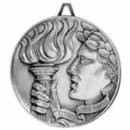 SLV DC VICTORY MEDAL M
