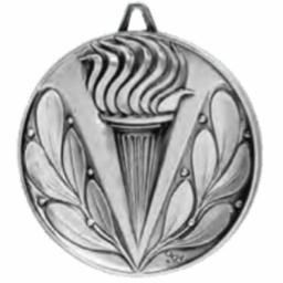 SLV DC VICTORY MEDAL