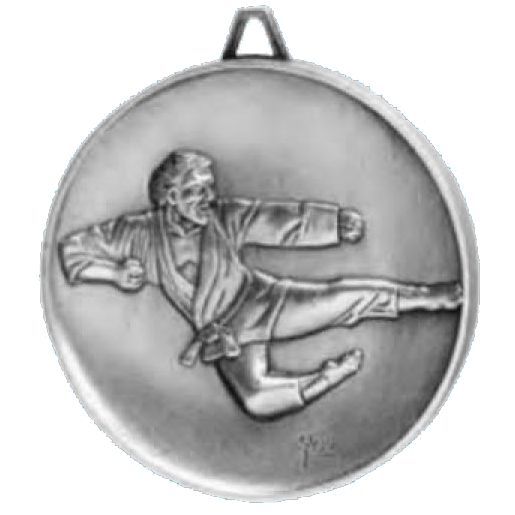 SLV DC KARATE MEDAL