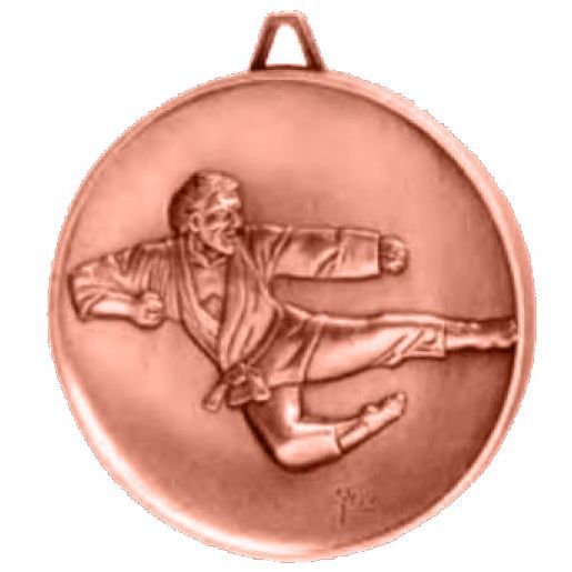 BRZ DC KARATE MEDAL