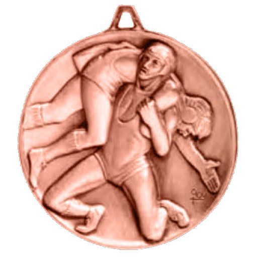 BRZ DC WRESTLING MEDAL