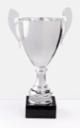ASSEMBLED METAL CUP SILVER