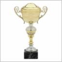 GOLD CUP AMC35