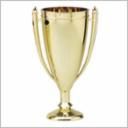 C16 FLAMED CUP