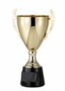 ASSEMBLED CUP GOLD 15½"