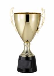 AMC6-EN ASSEMBLED CUP GOLD