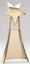 SHOOTING STAR AWARD GLD
