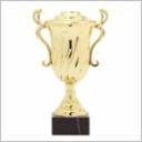 208 ASSEMBLED CUP GOLD